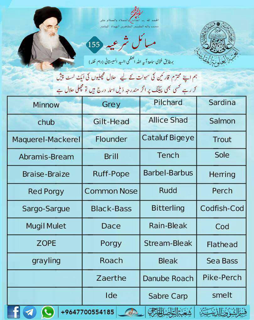 halal haram food list